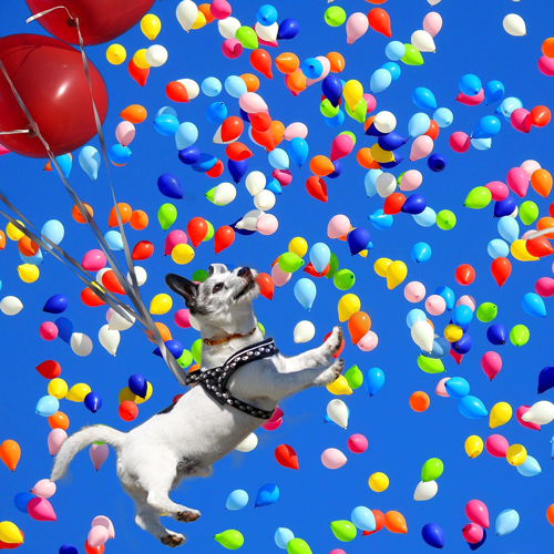 Baloons
