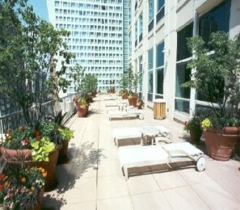 photo terrace