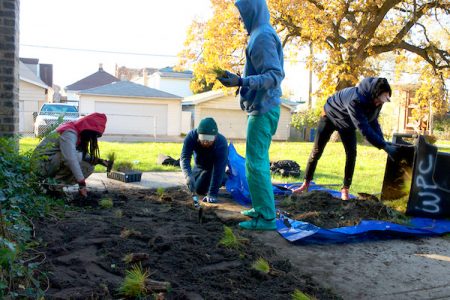 A Just Harvest Grassroots Ecology