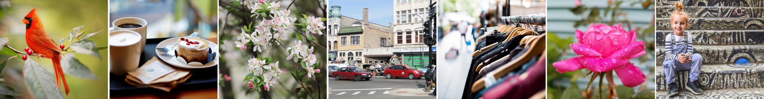 West Town Neighborhood Chicago