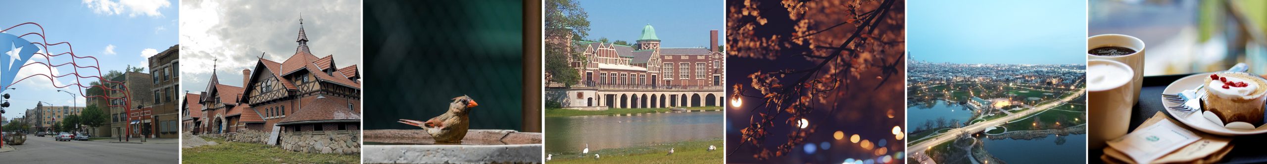 Humboldt Park Neighborhood Chicago