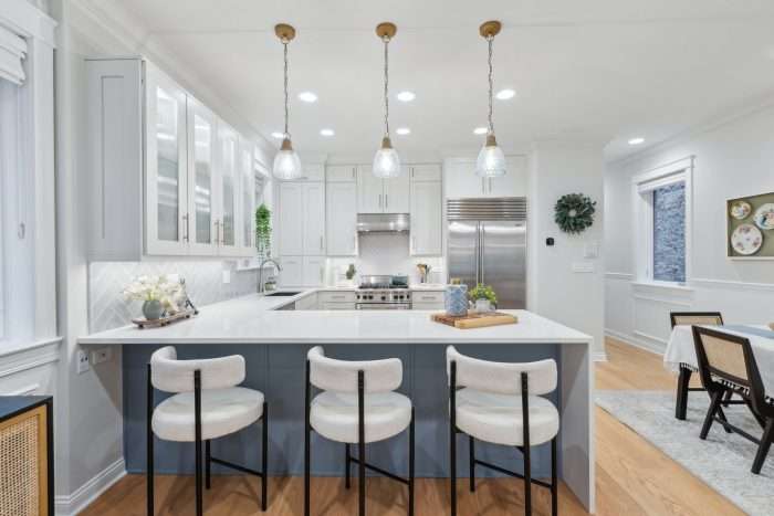 916 W Wrightwood Ave #1 Chicago, IL 60614 - Home For Sale