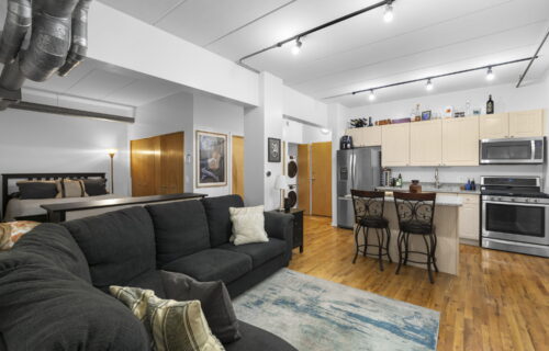 1430 S Michigan Ave APT 201 - Chicago, IL 60605 - Home For Sale